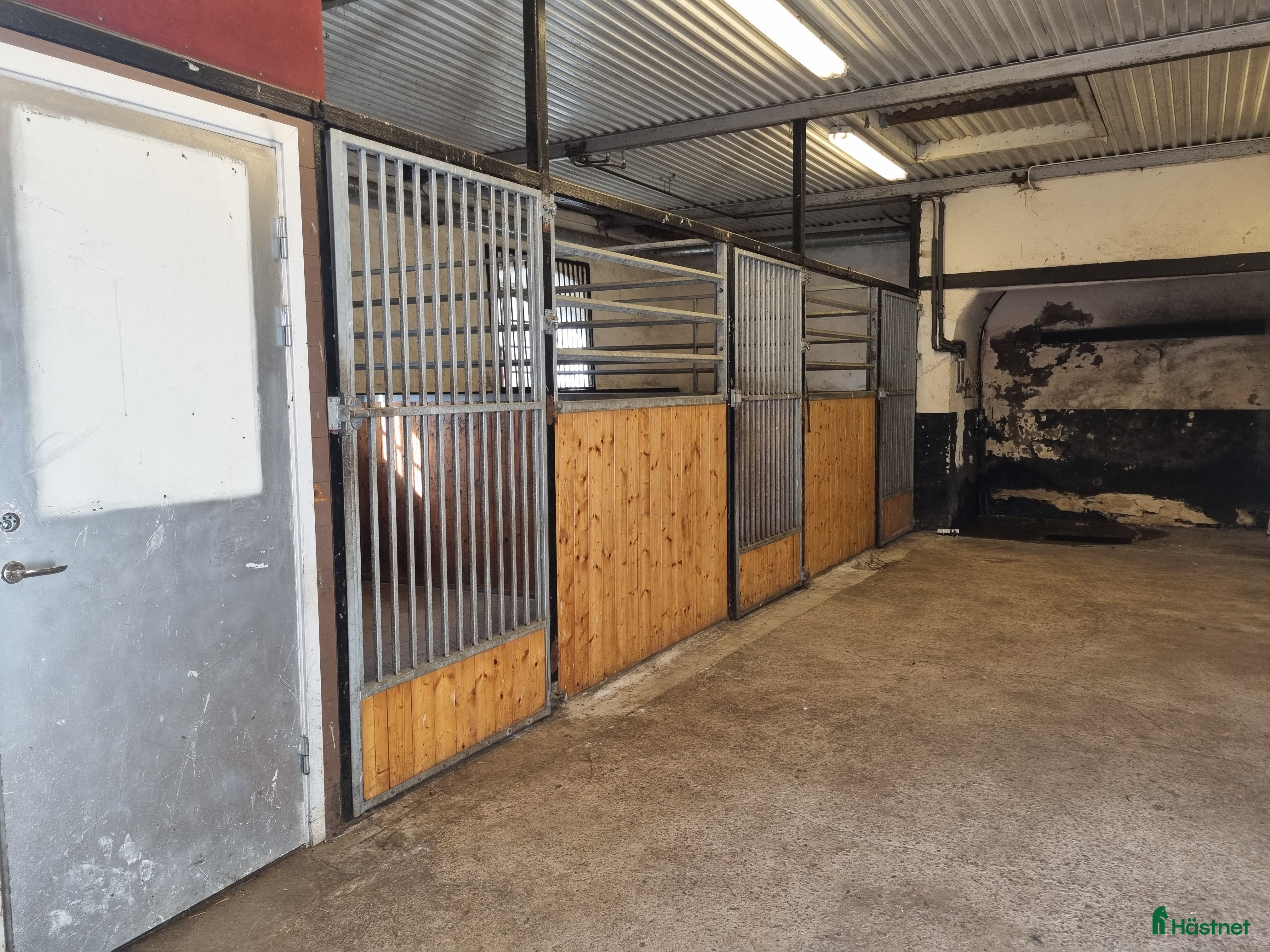  stallplats finnes: Stallplats, gästbox, rehab, konvalescent mm i Skärplinge - Annons 4