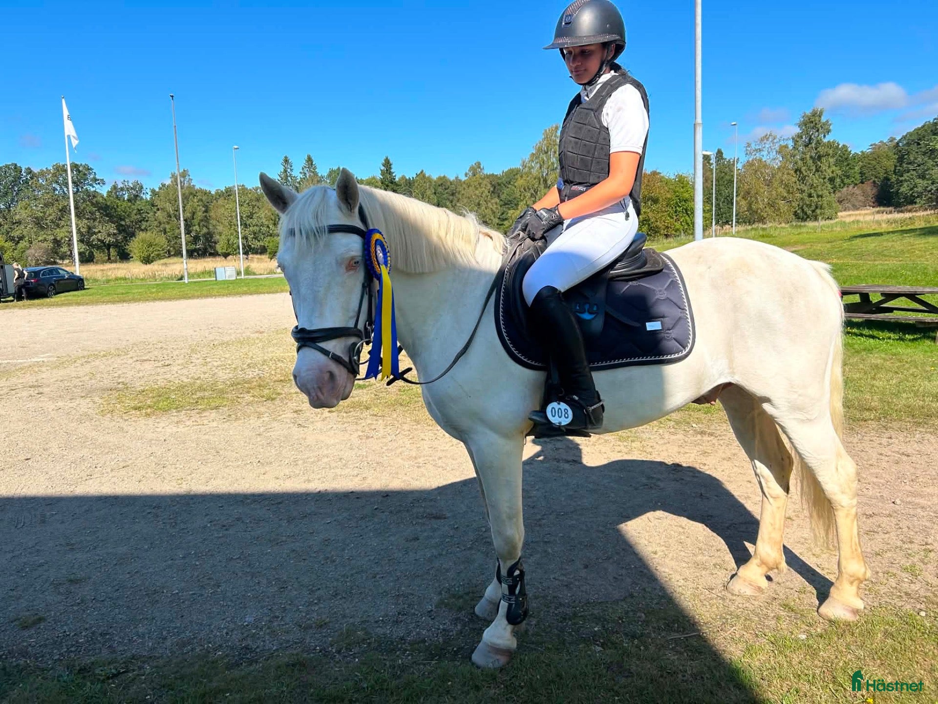  hästar D ponny,  eu I Love You Melody  - Annons 13