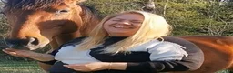 Allround hästar sökes: Söker en vän i Skövde - Annons 1