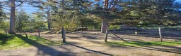  stallplats finnes: Ledig stallplats i Sigtuna! i Sigtuna - Annons 5