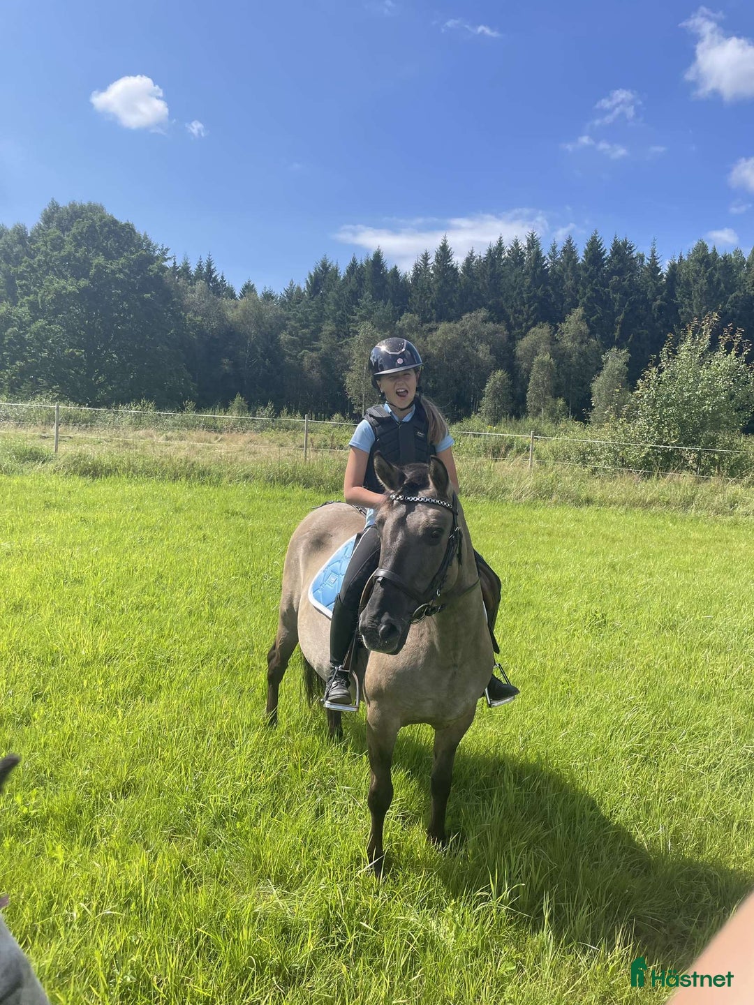 Schabrak & Vojlockar hästutrustning till salu: Fint ES schabrak💙 i Kinna - Annons 13