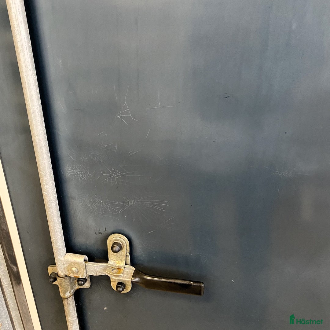 Hästtransporter  fordon & transport till salu: Välskött Fautras Provan i Kvicksund - Annons 12