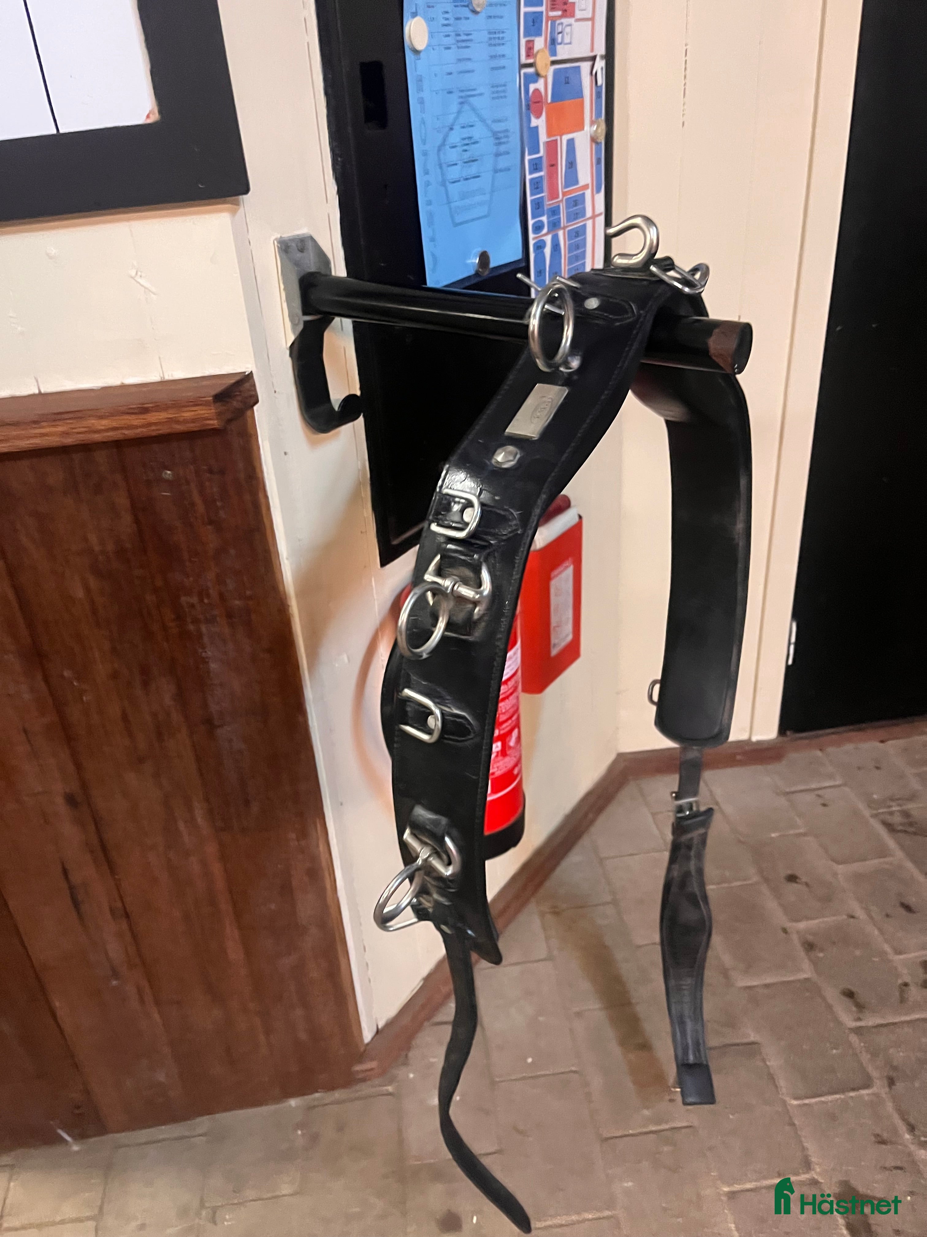 Övrig Hästutrustning hästutrustning till salu: Tömkörningsgjord inkl tömmar läder  i Söderby - Annons 1