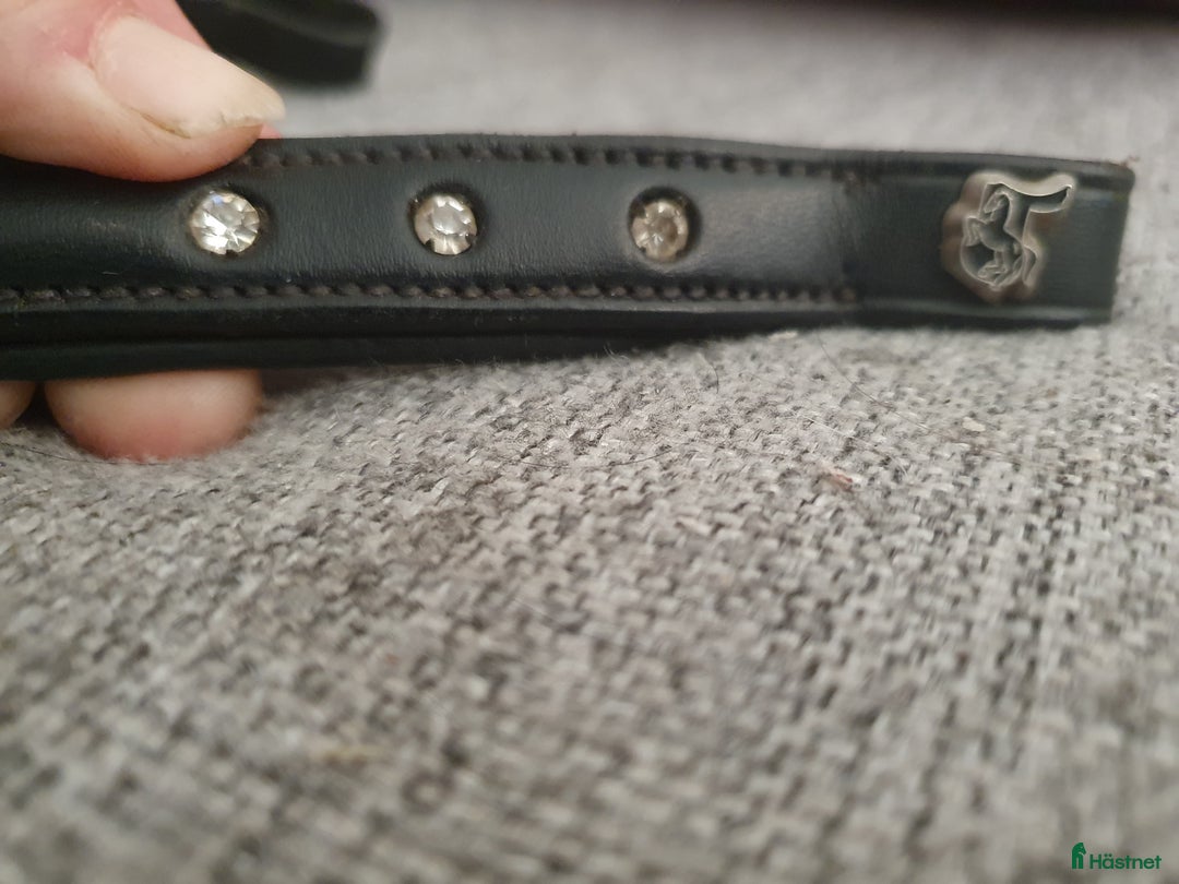 Träns hästutrustning till salu: Pannband med bling i Herrljunga - Annons 1