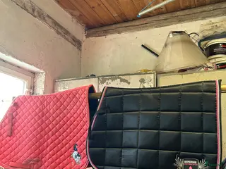 Schabrak & Vojlockar hästutrustning 2 Full schabrak - Annons 11