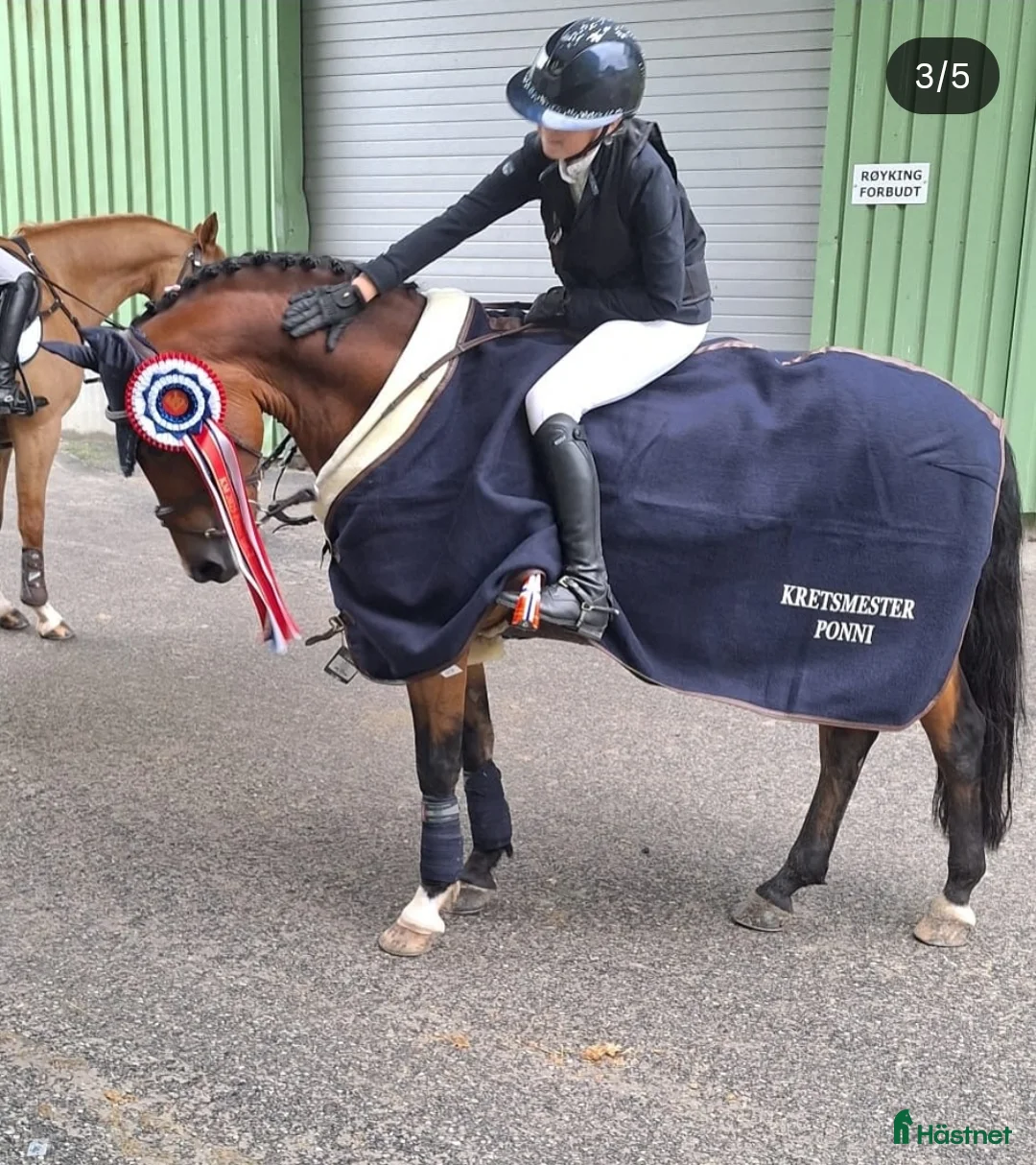 Hoppning hästar till salu: C-ponni  i Skien - Annons 5