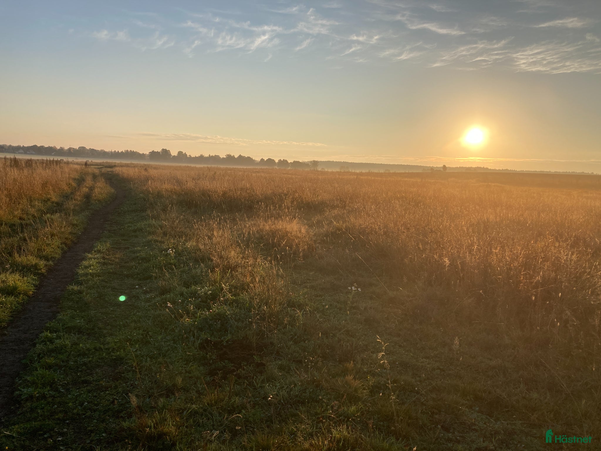  stallplats Lösdrift - Annons 2