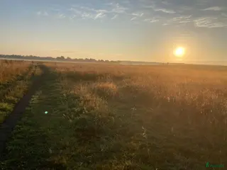 stallplats Lösdrift - Annons 2