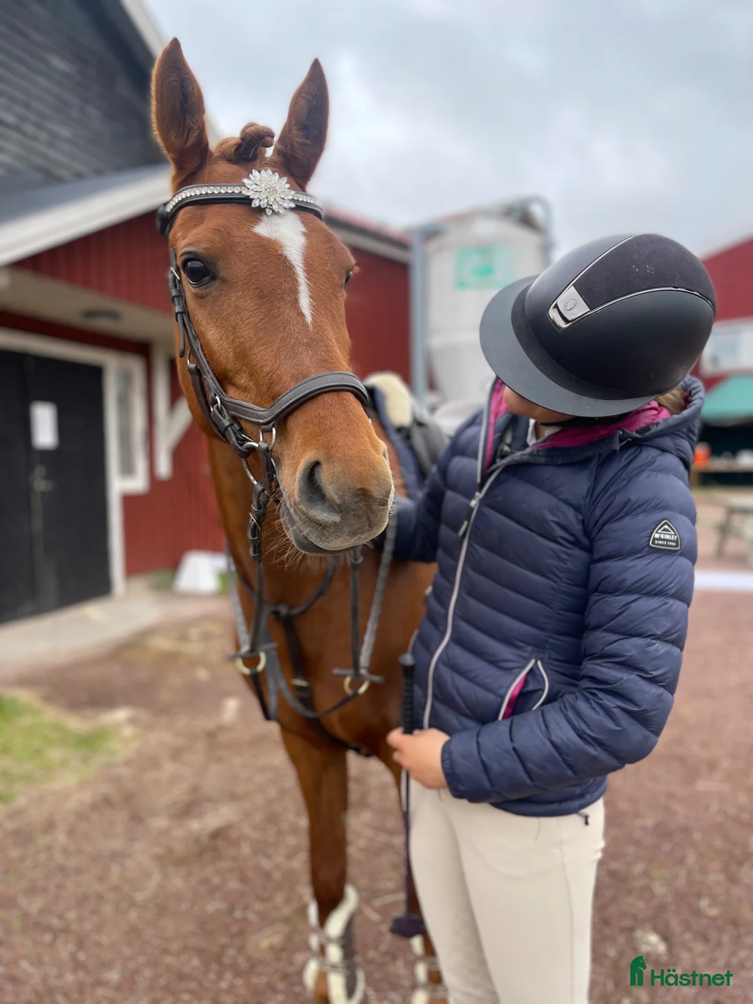 Hoppning hästar till salu: Charmig ponny till salu 🦄 - Annons 2