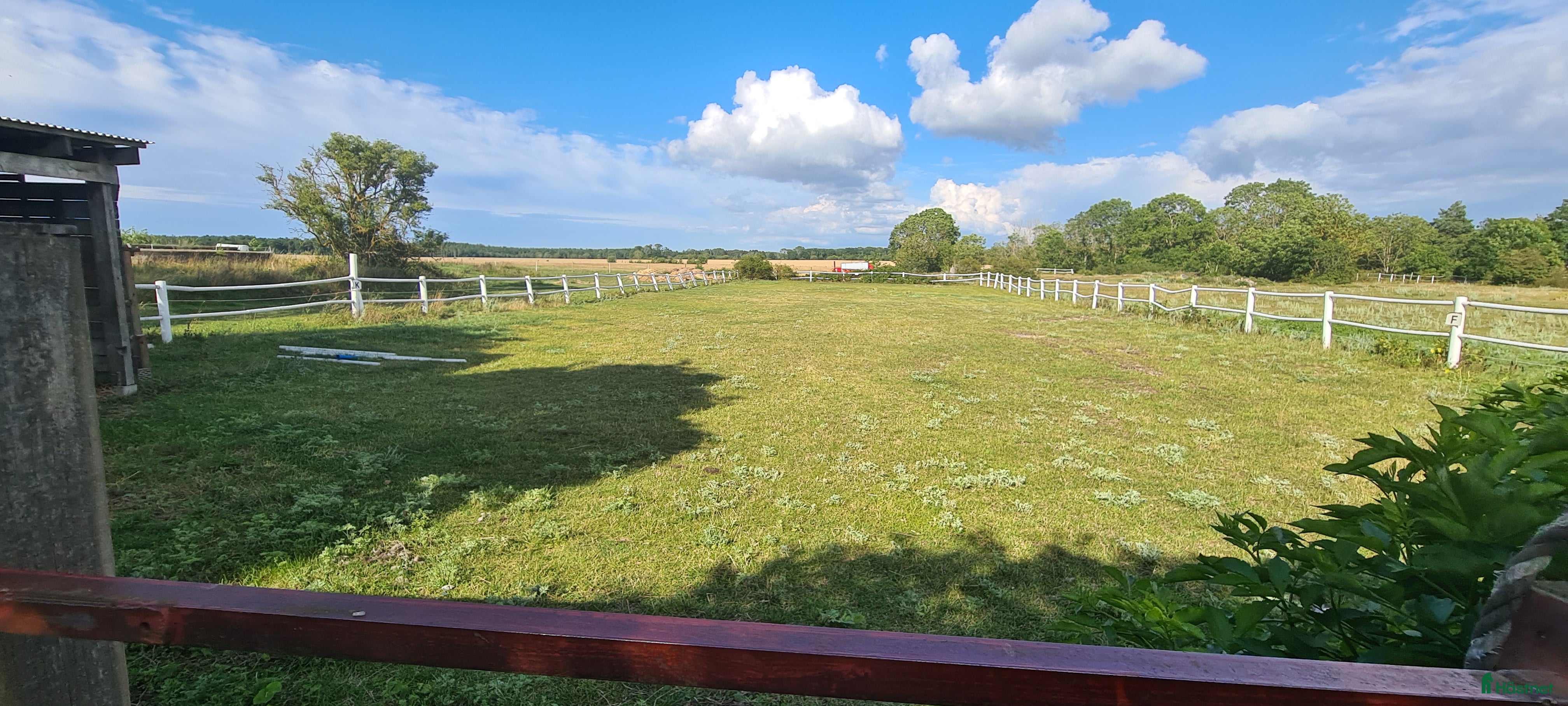  stallplats finnes: Stallplats/lösdrift i Västerhejde, Gotland - Annons 3