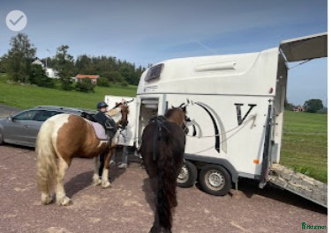 Hästtransporter  fordon & transport till salu: Värmlandsvagnen– Momsad transport i gott skick i Taberg - Annons 3
