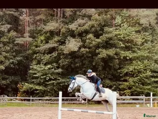 hästar Lovande hopptalang med spännande framtid - Annons 2