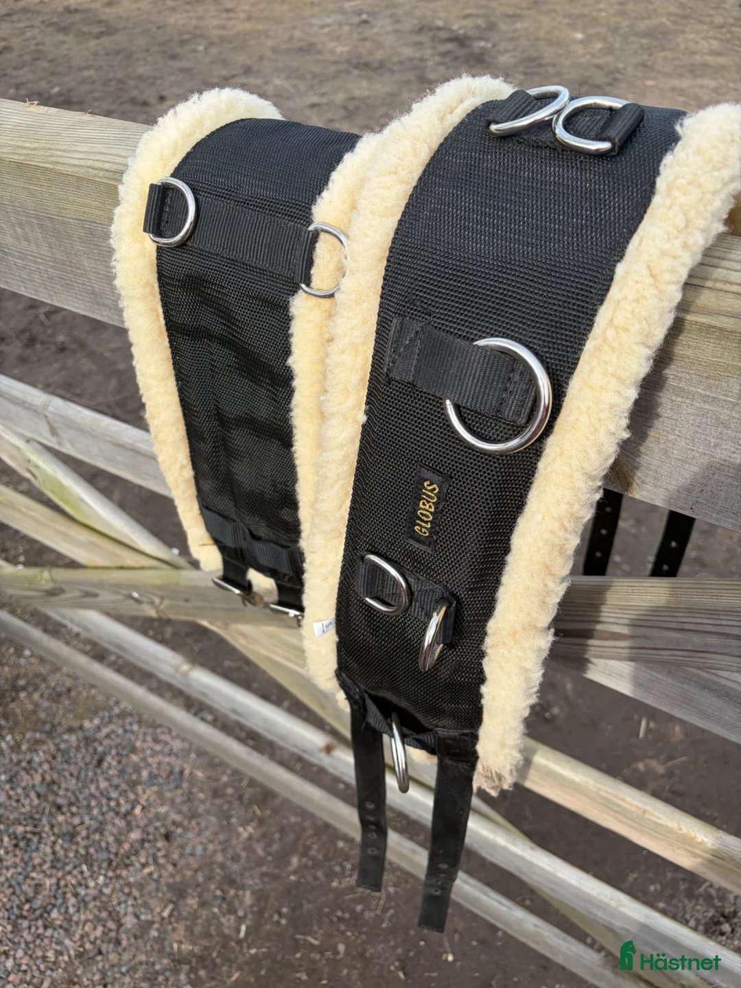 Övrig Hästutrustning hästutrustning till salu: Träningsgjord Globus - tömkörning/longering - Annons 1