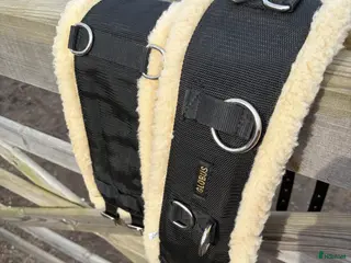 Övrig Hästutrustning hästutrustning Träningsgjord Globus - tömkörning/longering - Annons 11