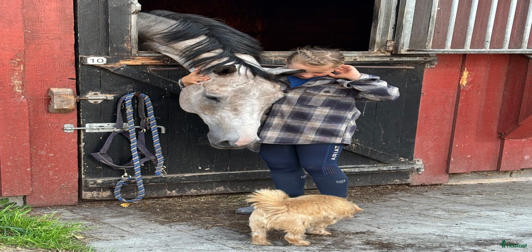 Galleribild {{count}}