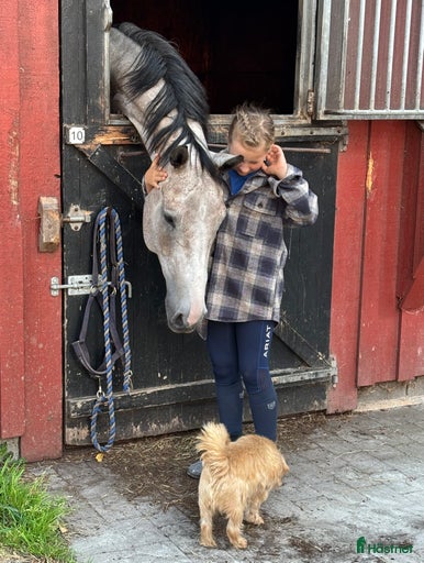 Galleribild {{count}}