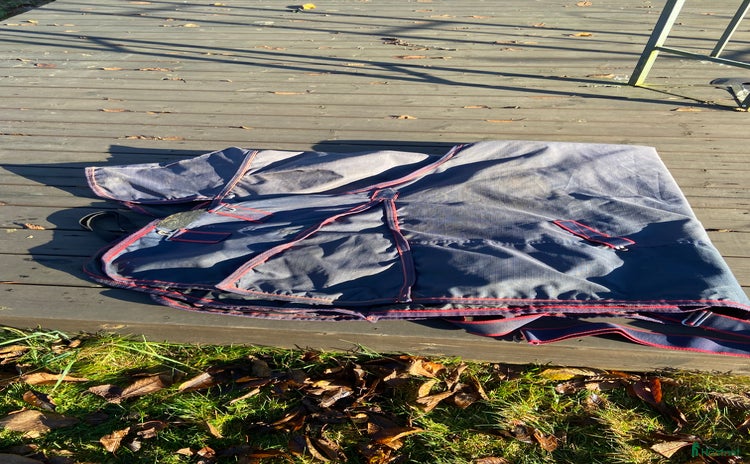 Täcken hästutrustning till salu i Eksjö - Annons 13