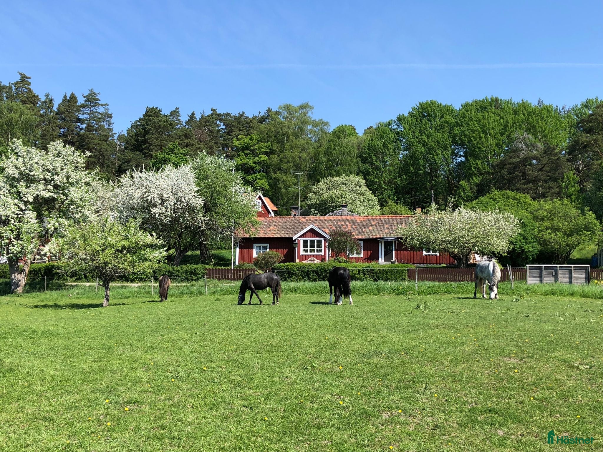  stallplats Boxplats i mysigt stall på Drottningholm - Annons 5