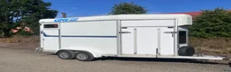 Hästtransporter  fordon & transport till salu: Umesläp B50 baklängesvagn - Annons 1