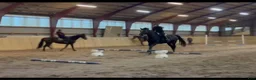 stallplats finnes: Vellinge & Höllviken Stallplats - Annons 2