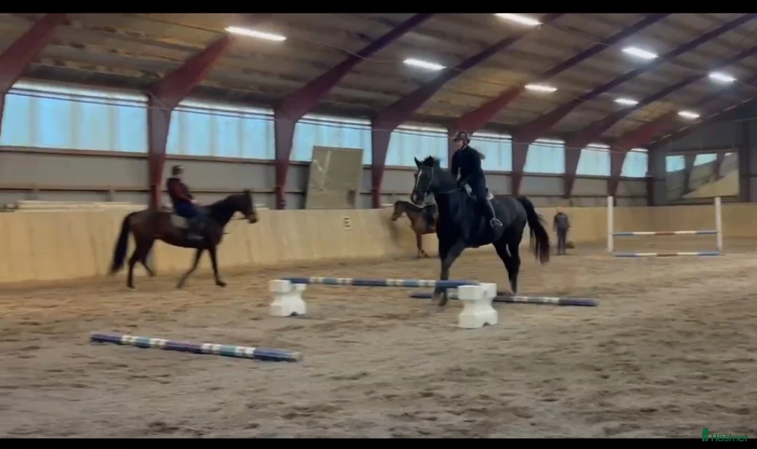  stallplats finnes: Vellinge & Höllviken Stallplats - Annons 2