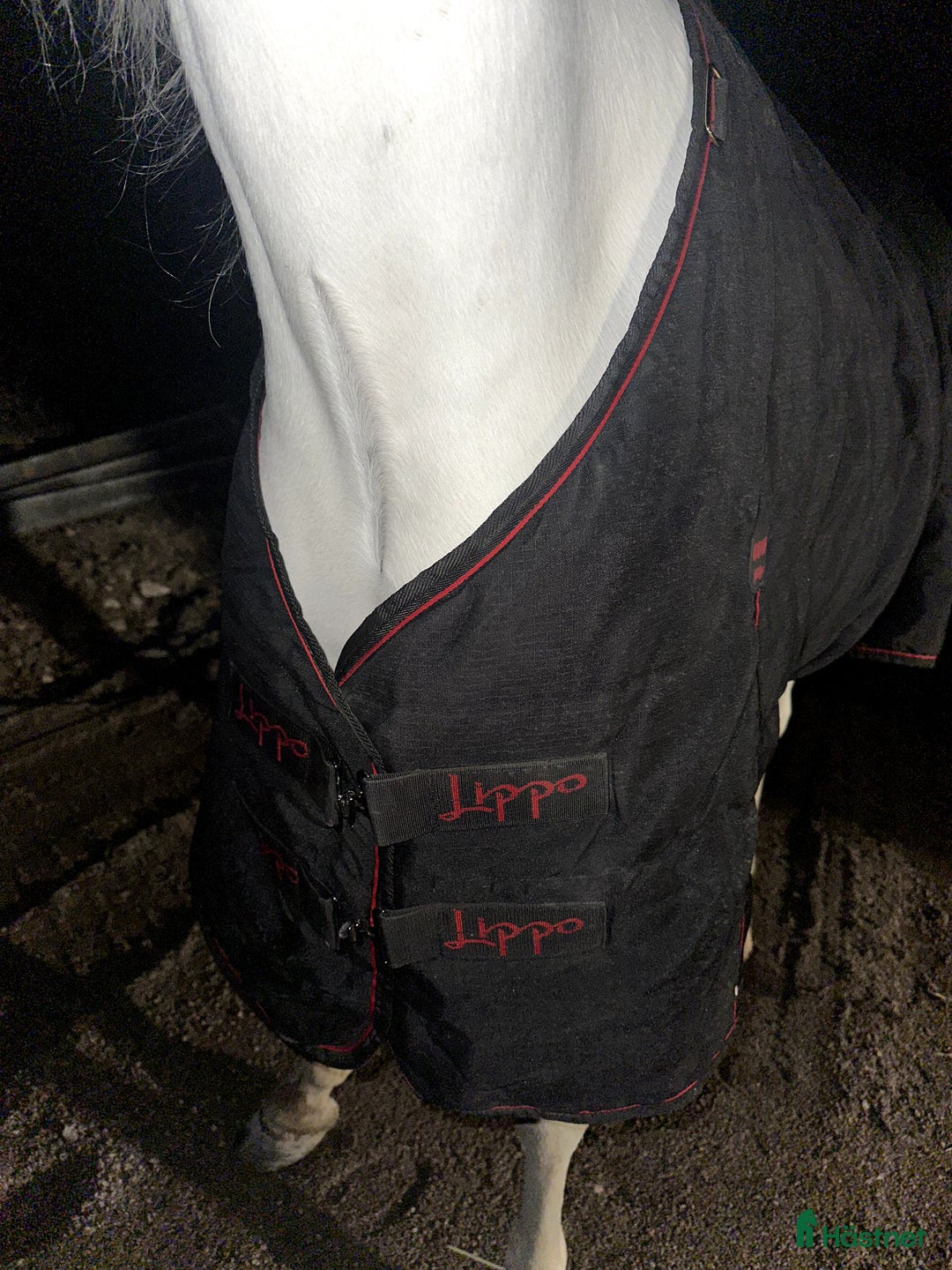 Täcken hästutrustning till salu: Lippo Stalltäcke 100g  i Lindesberg - Annons 2