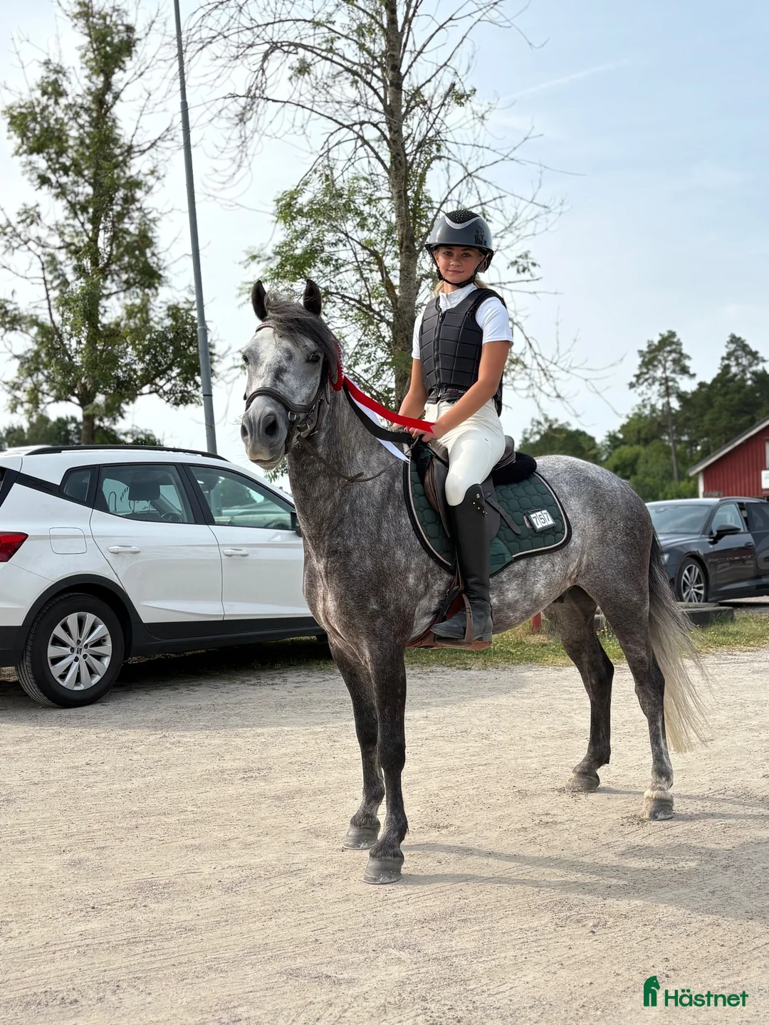 Hoppning hästar till salu: Super ponny i Björköby - Annons 1