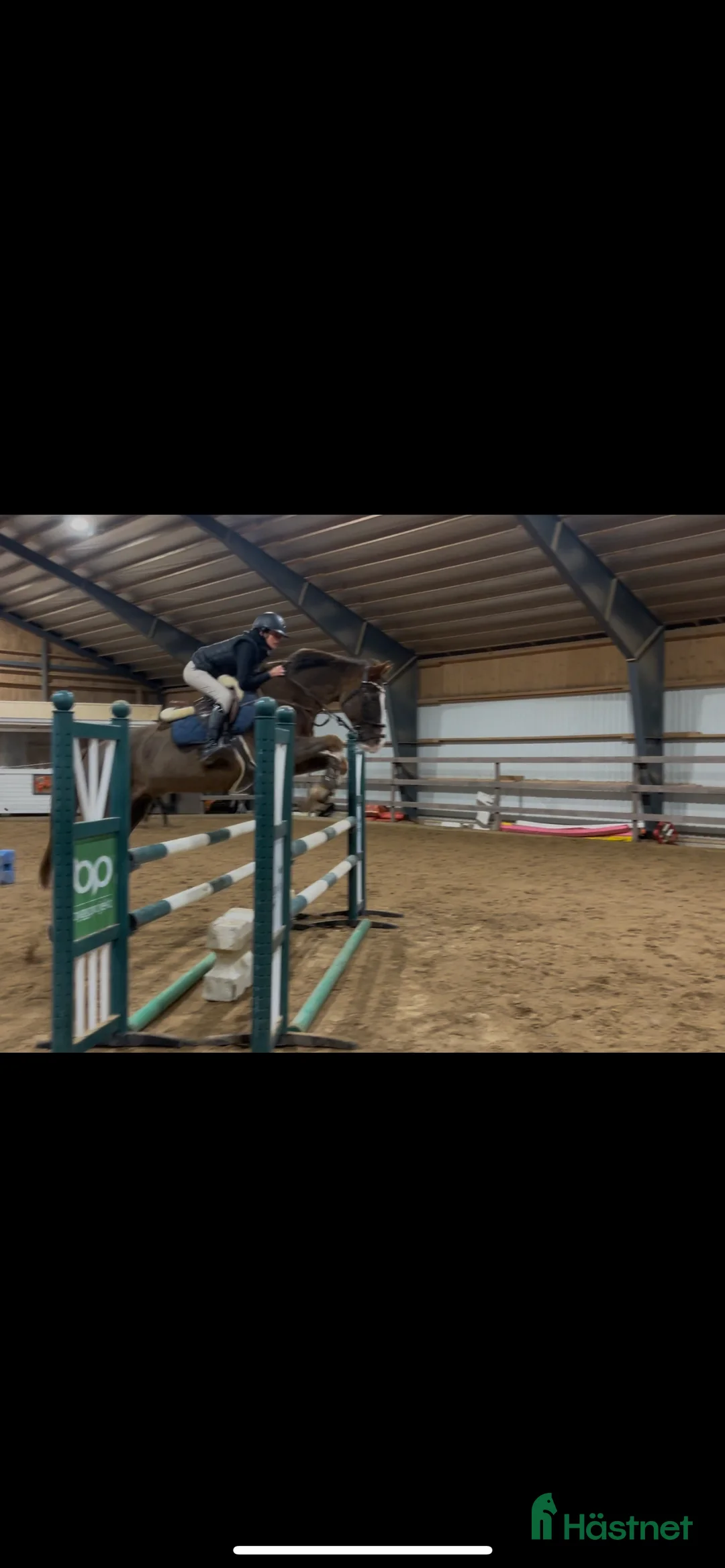 Hoppning hästar sökes: Söker foderhäst - Annons 1