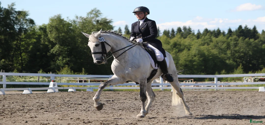 Galleribild {{count}}