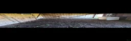  stallplats finnes: Lösdrift - Annons 3