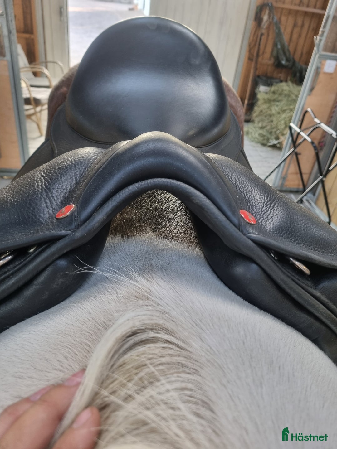 Sadlar hästutrustning till salu: Karlslund i Halmstad - Annons 8