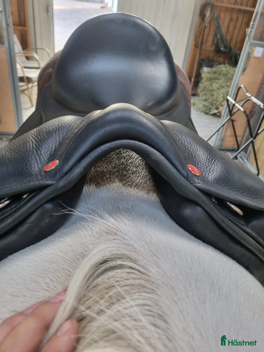 Sadlar hästutrustning till salu: Karlslund i Halmstad - Annons 8