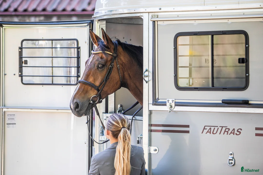 Hästtransporter  fordon & transport till salu: Diagonallastad Fautras Oblic+2 för 2 hästar i Kvicksund - Annons 5