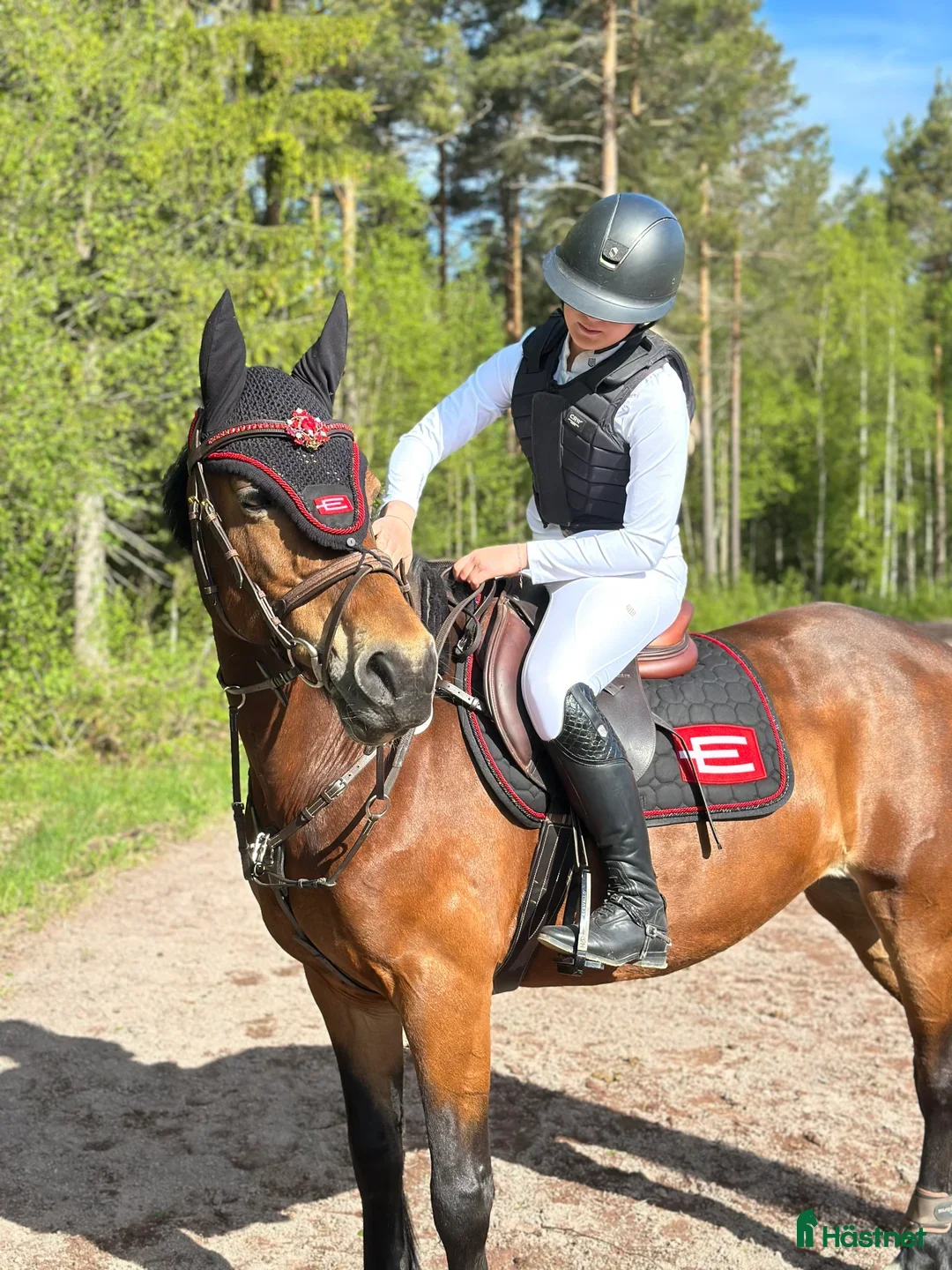 Allround hästar till salu: Bestämd dam med en räv bakom örat i Rättvik - Annons 1