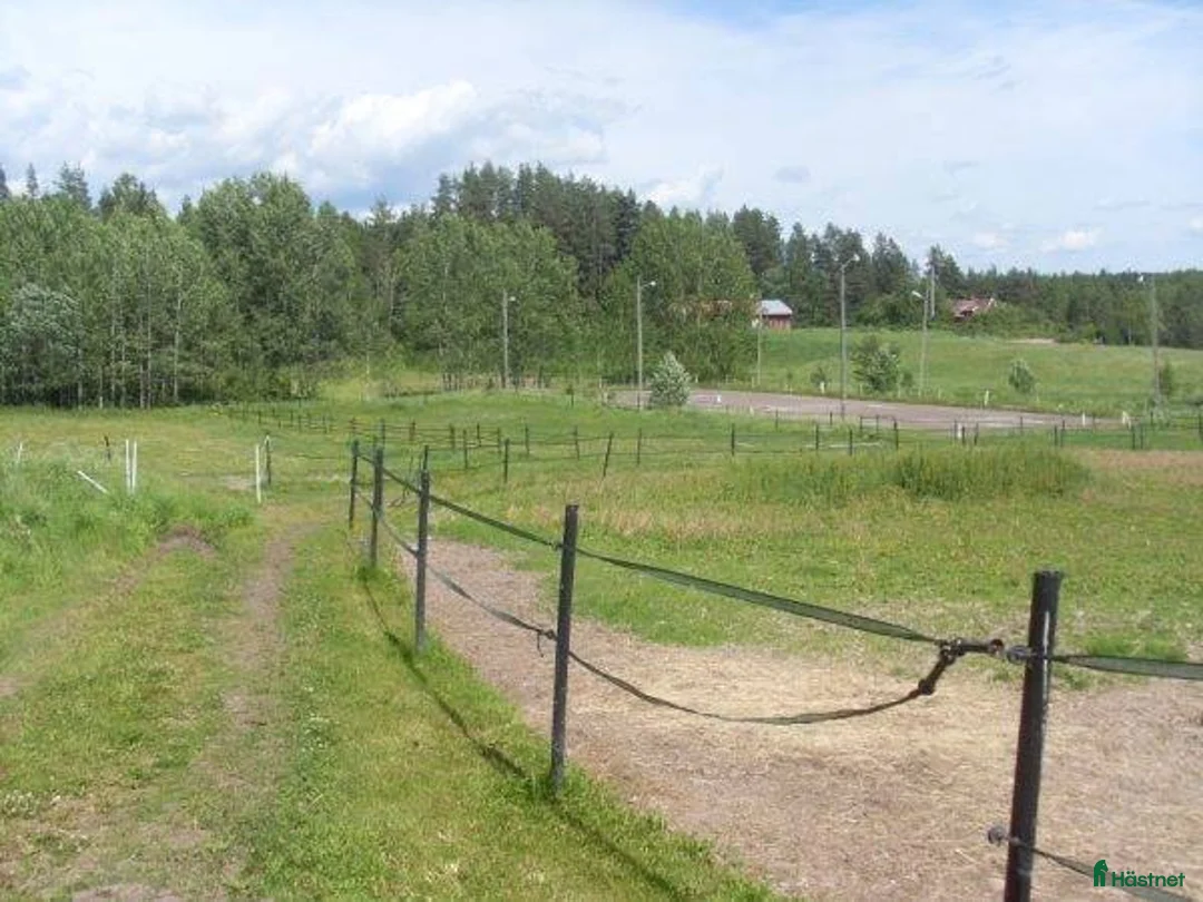  hästgårdar till salu: Fin hästgård 15 km norr om Örebro - Annons 7