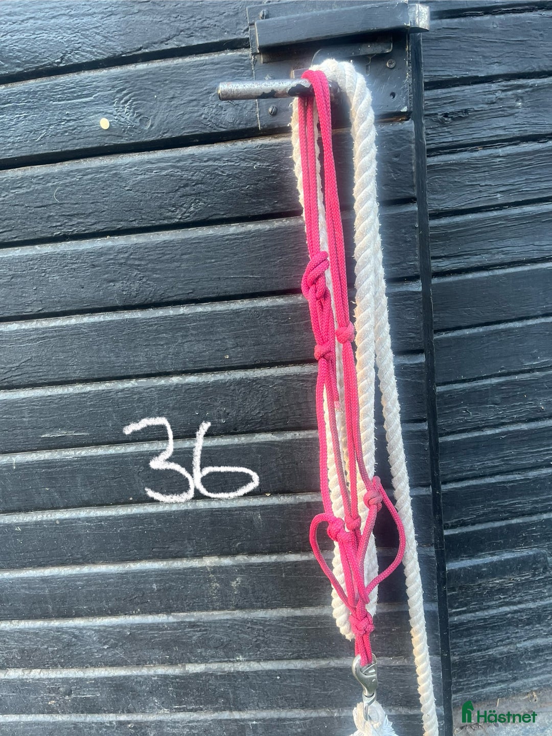 Övrig Hästutrustning hästutrustning till salu: Hästutrustning till salu i Björklinge - Annons 17