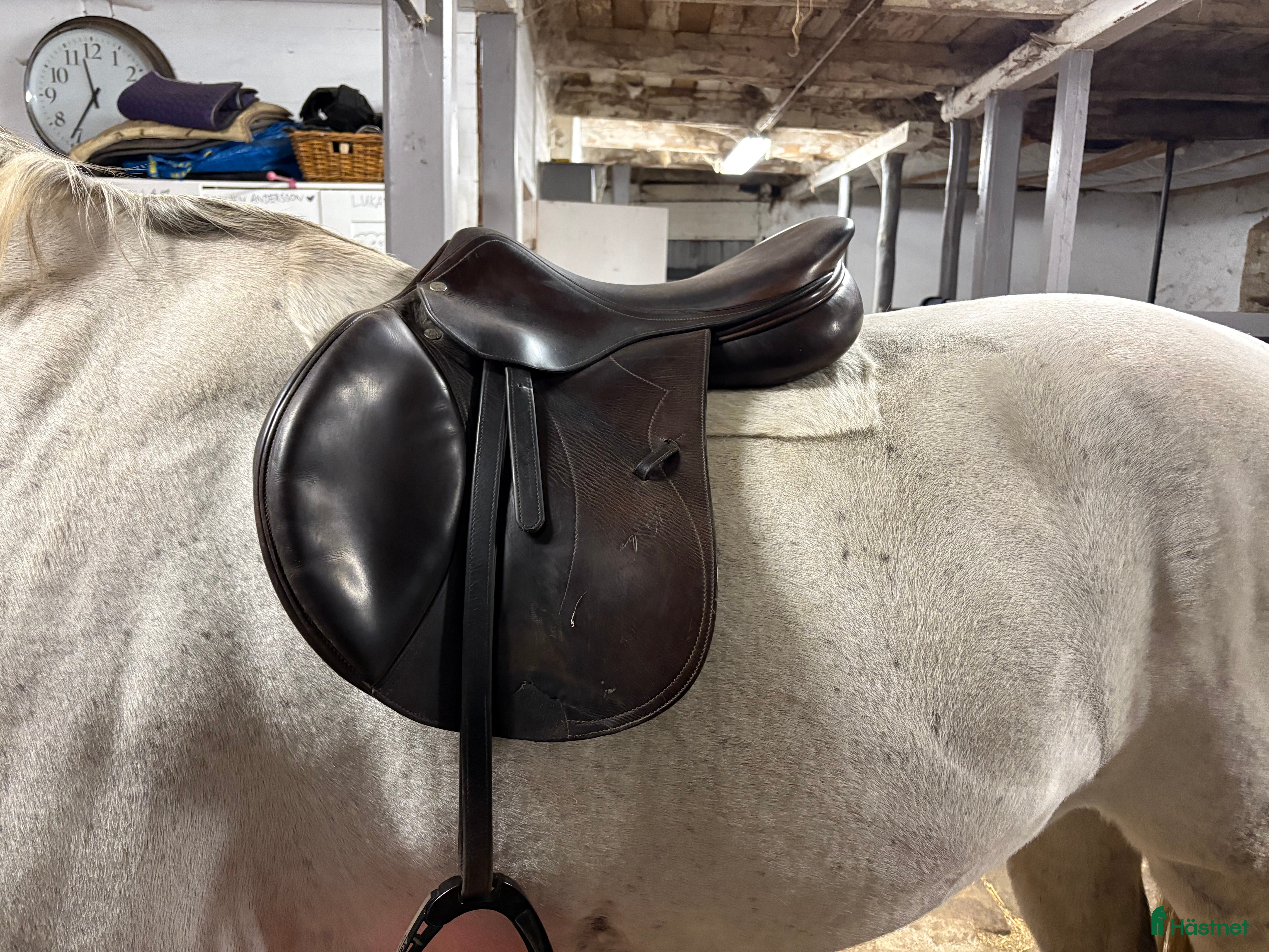 Sadlar hästutrustning Equipe Grand Prix - bud? - Annons 13