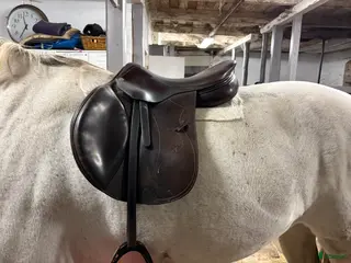 Sadlar hästutrustning Equipe Grand Prix - bud? - Annons 1