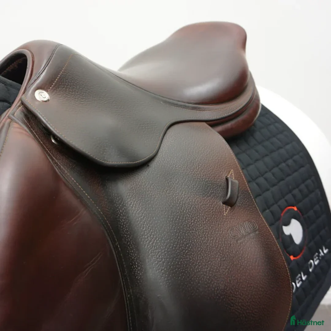 Sadlar hästutrustning till salu: CWD Classic SE02 17,5" i Upplands Väsby - Annons 5