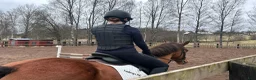  medryttarhäst finnes: Önskar bli medryttare i Gnosjö - Annons 1