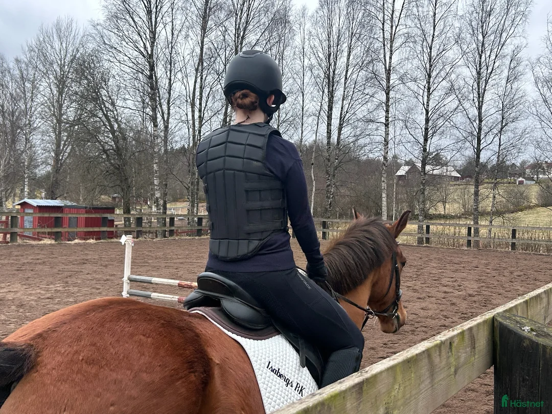  medryttarhäst finnes: Önskar bli medryttare i Gnosjö - Annons 1