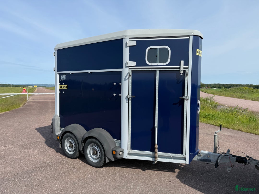 Hästtransporter  fordon & transport till salu: Ifor Williams HB403 - 1,5hästars - Bild 1