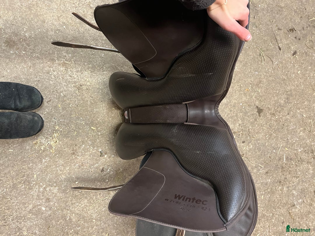 Sadlar hästutrustning till salu: Brun hoppsadel från Wintec  i Landsbro - Annons 8