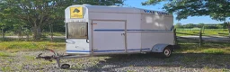 Hästtransporter  fordon & transport till salu: BYGDSILJUM BRUNTE -92 i Borlänge - Annons 2