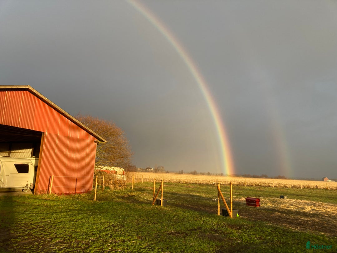  stallplats finnes: Lediga stallplatser!  i Tvååker - Annons 2