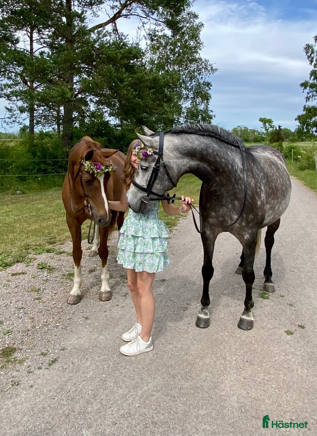 Galleribild {{count}}