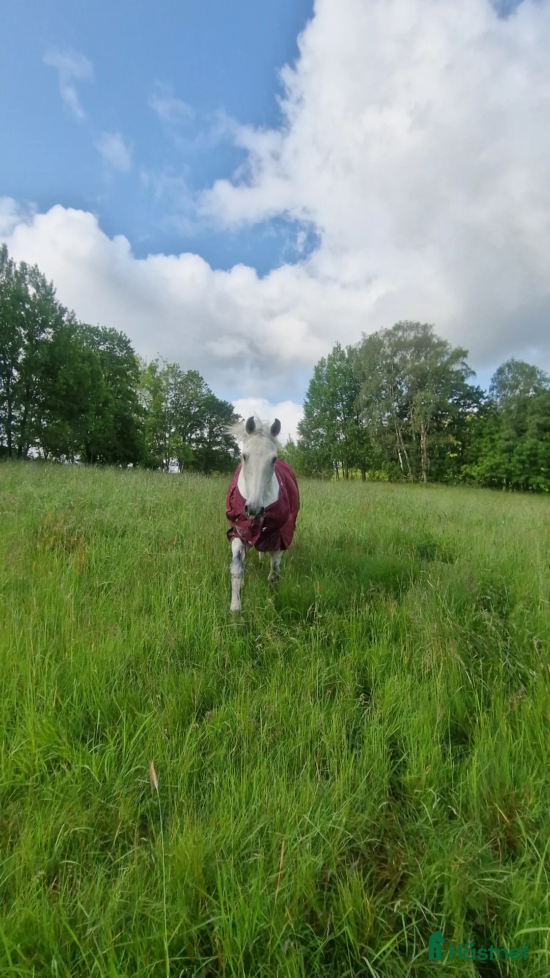  stallplats finnes: Mysig Lösdrift i lindome  - Annons 4