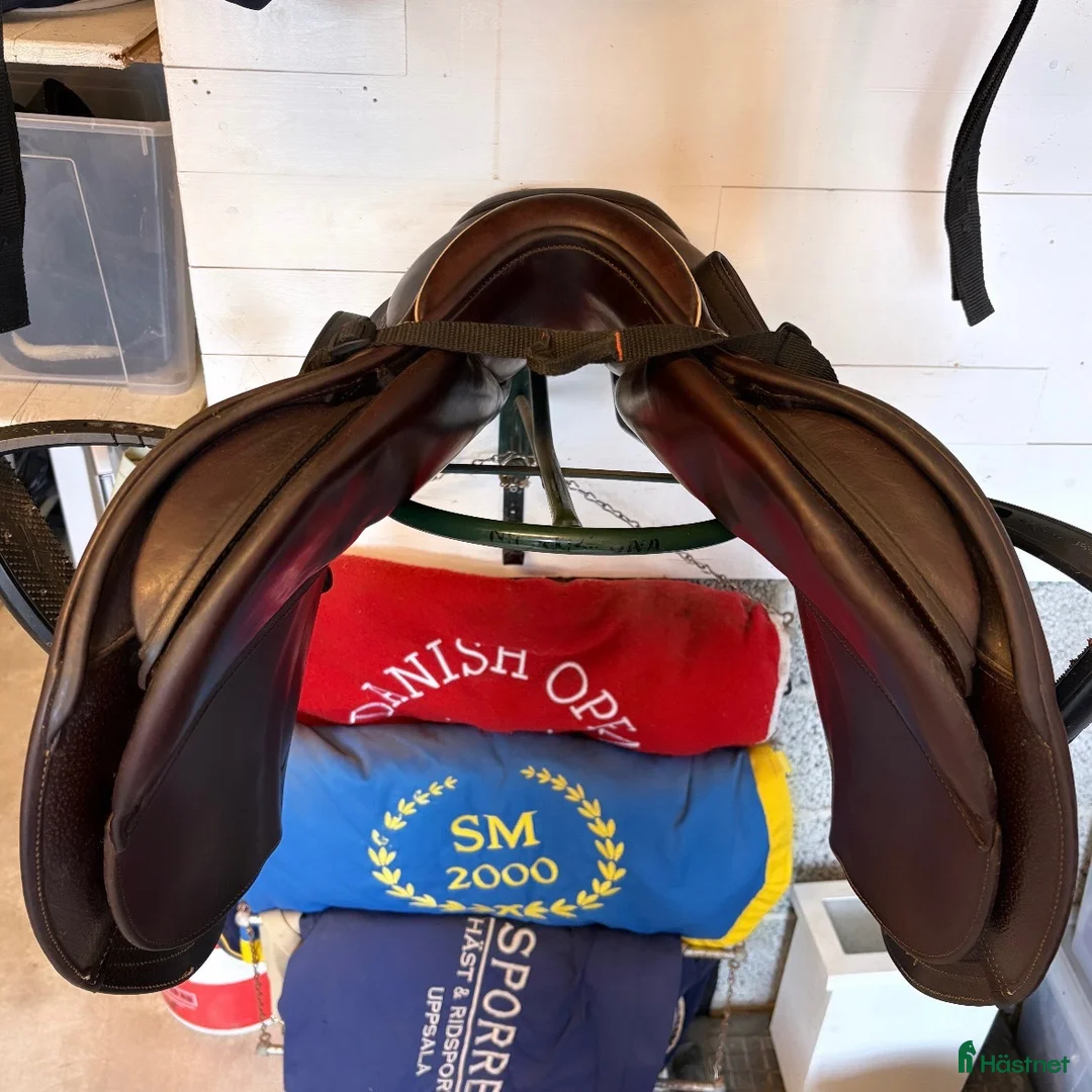 Sadlar hästutrustning till salu: CWD mademoiselle - Annons 8
