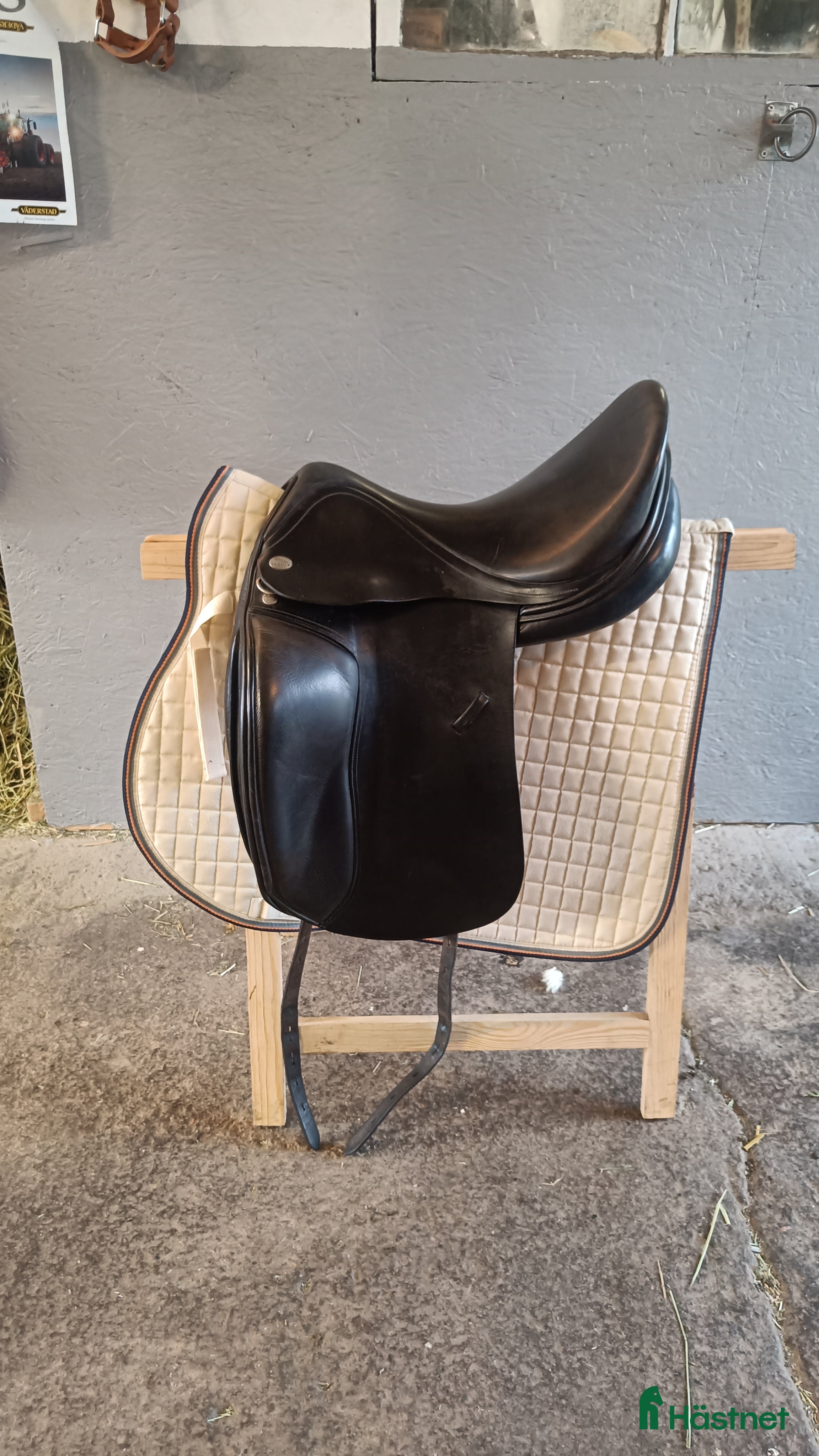Sadlar hästutrustning Dressyrsadel Jaguar xkc  - Annons 7