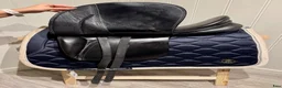 Sadlar hästutrustning till salu: Stubben Maestoso De Luxe sadelpaket - Annons 8